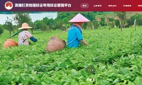 英德红茶地理标志专用标志管理平台