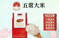 五常大米
